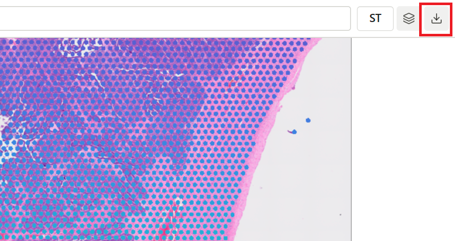 Map viewer export button