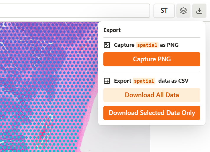 Map viewer export popover