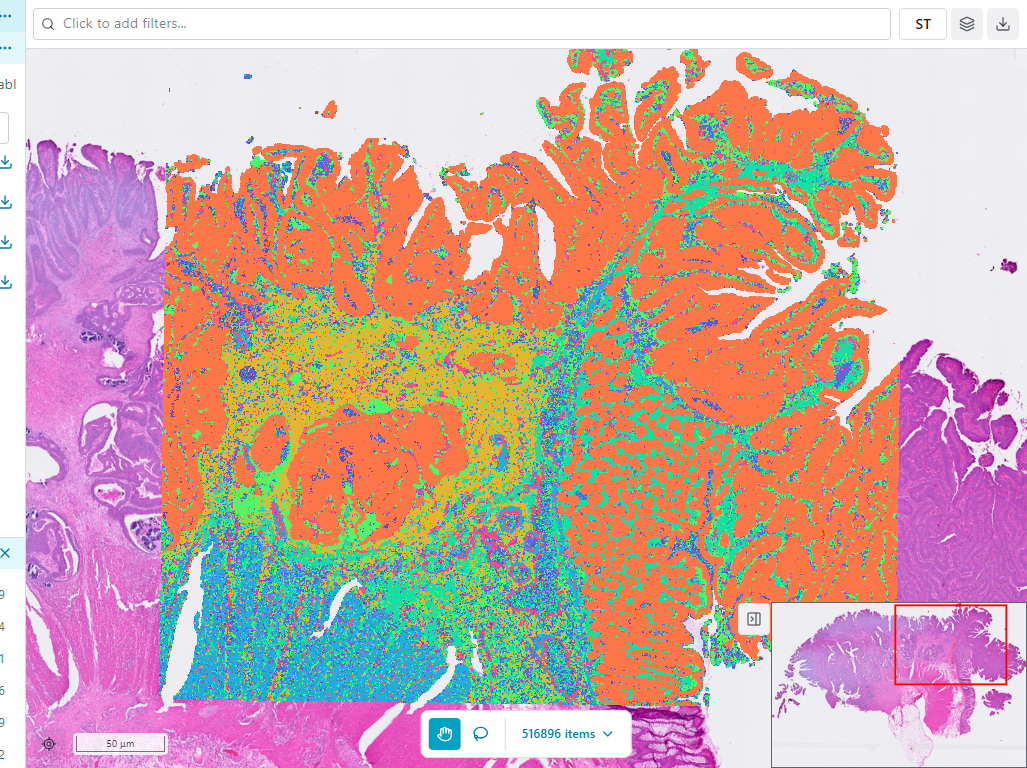 Map viewer full interface