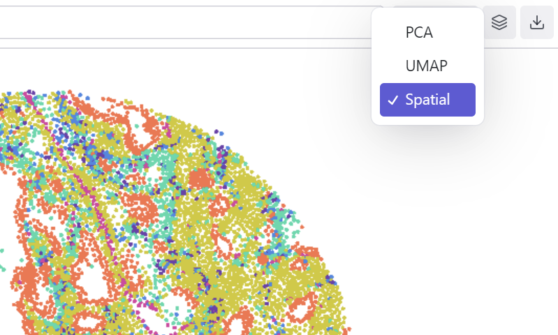 Projection mode selector
