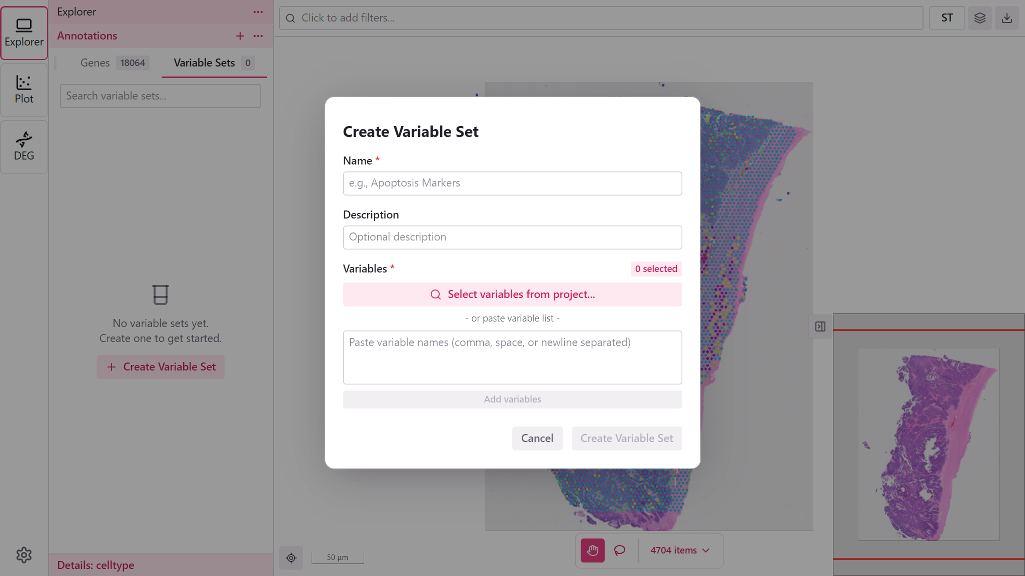 Create Variable Set dialog