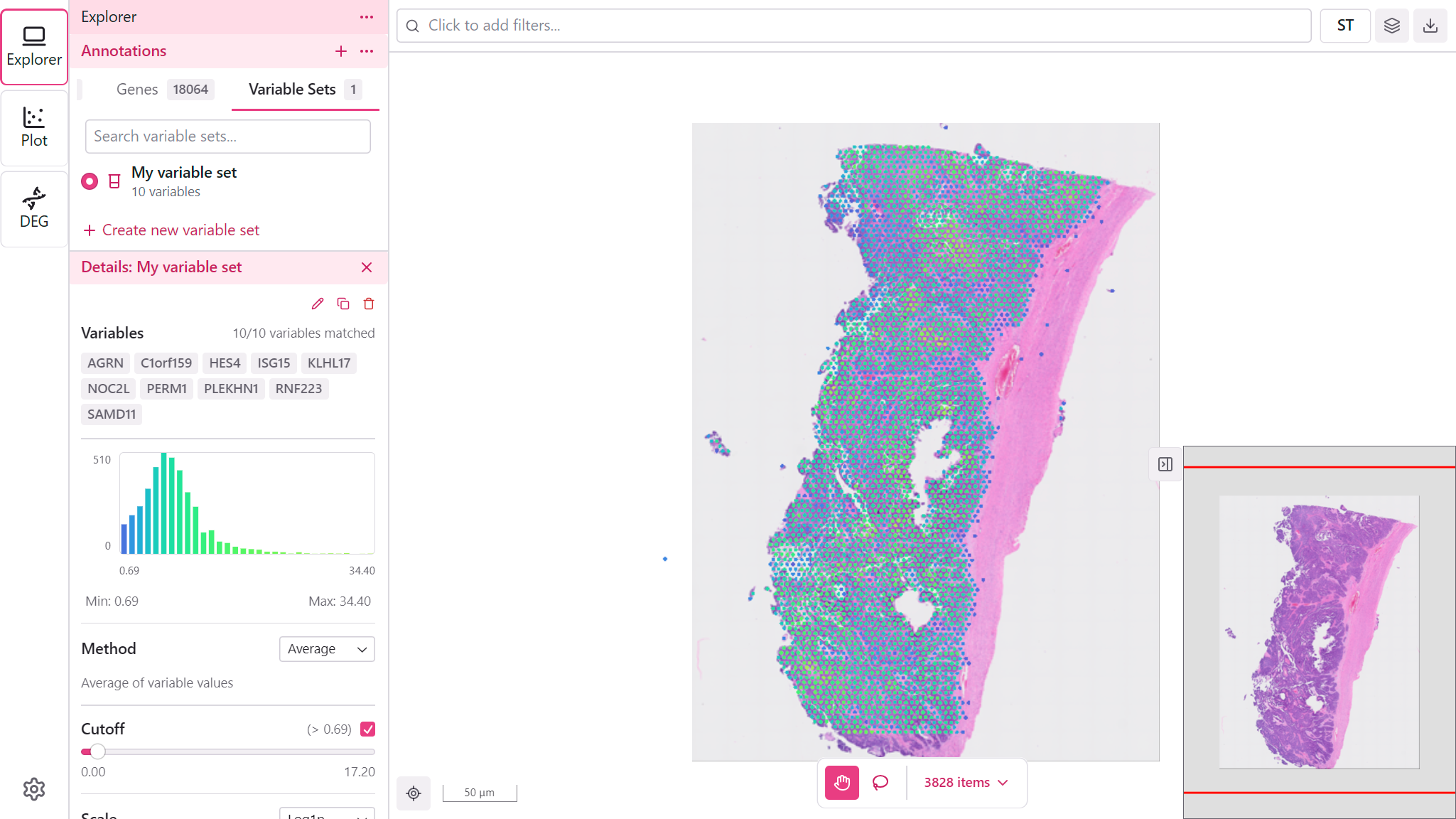 Variable Sets tab overview